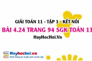 Giải bài 4.24 trang 94 Toán 11 tập 1 SGK Kết nối tri thức